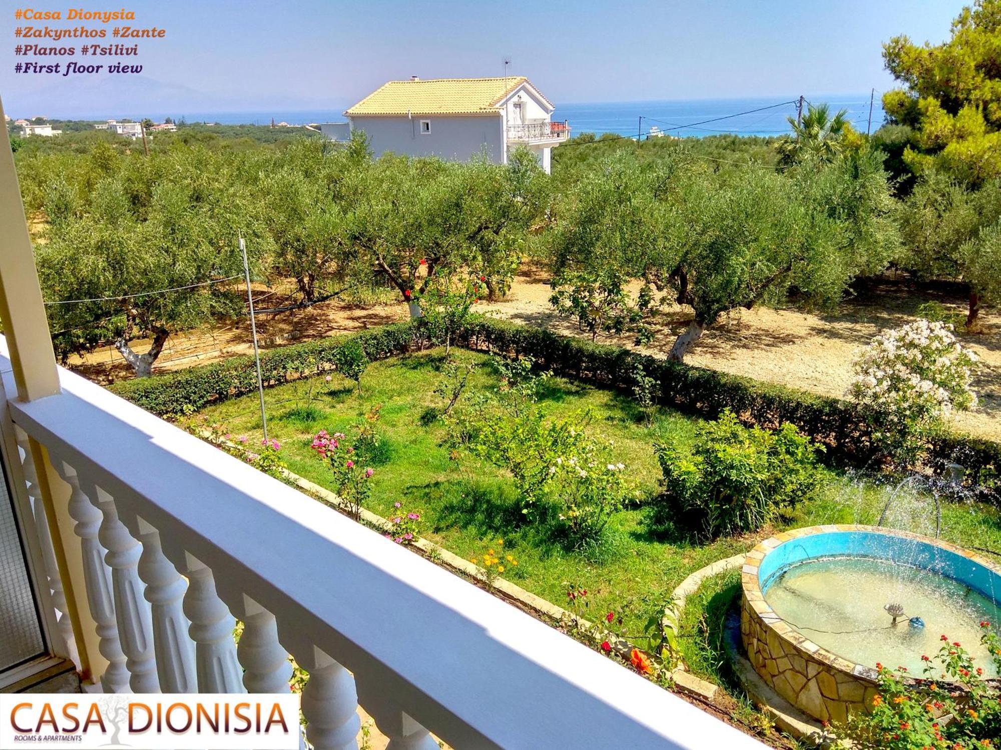 Casa Dyonisia Tsilivi Aparthotel Plánosz Kültér fotó